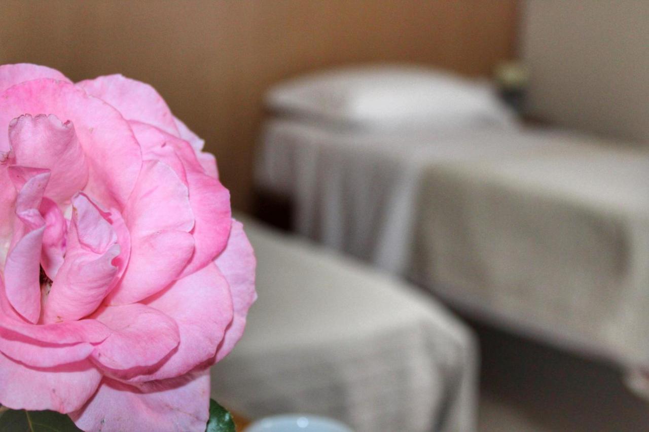 Hotel Ristorante L'Avvenire 기제리아 외부 사진